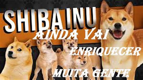 Shiba Inu Ainda Vai Enriquecer Muita Gente Youtube