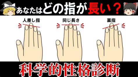 【ゆっくり解説】手の指の長さで分かるあなたの性格【人体の雑学】 Youtube