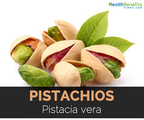 Pistachios Facts Health Benefits And Nutritional Value