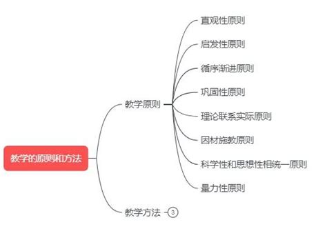 教育学 教学实施（下）思维导图学习 原则