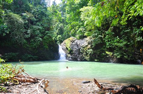 Tabin Wildlife Observation Borneo Packages