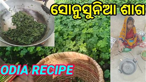 Sunu Sunia Saga Recipe Saga Recipe Indian Saga Recipes In Odia YouTube