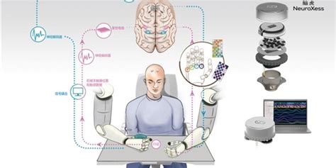 Waic预告｜科技惊雷之脑机接口 将首次呈现阶段性技术成果手机新浪网