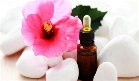 Top 15 Benefits Of Hibiscus Oil For Hair