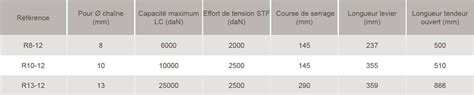 Tendeur D Arrimage Cliquet Pour Cha Ne Grade Avec Goupille De