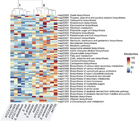 Biochemical Network Guided Metabolic Pathway Enrichment The Heatmap