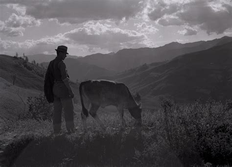 Il Sapere Delle Mani Premilcuore Parco Nazionale Foreste Casentinesi