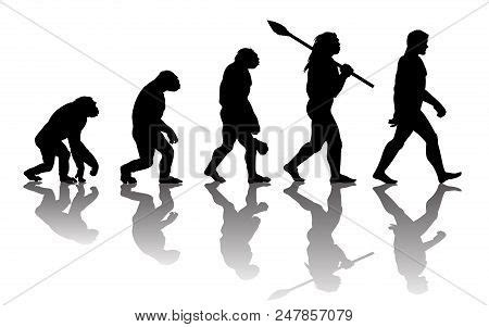 Theory Evolution Man Vector Photo Free Trial Bigstock