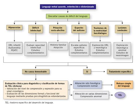 Trastornos Del Lenguaje Pediatr A Integral