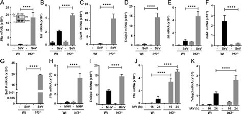 Irf Inhibits Nuclear Translocation Of Nf B To Prevent Viral