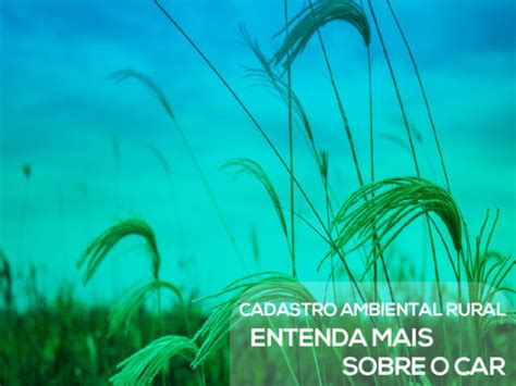 Entenda Um Pouco Mais Do Car Cadastro Ambiental Rural Emas Jr