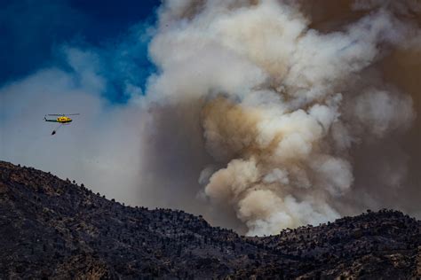 Fotos Los Daños Del Incendio De Los Guájares Sobre El Terreno Ideal