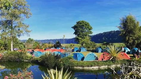 5 Tempat Camping Di Bedugul Bali Destinasi Wisata Dengan Panorama Alam