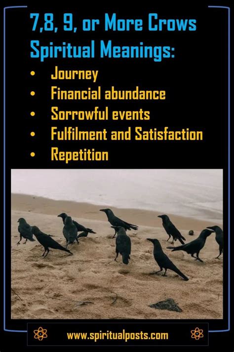 Number of Crows Meaning (1, 2, 3, 4, 5, 6, 7, 8, 9 Crows!) | Spiritual