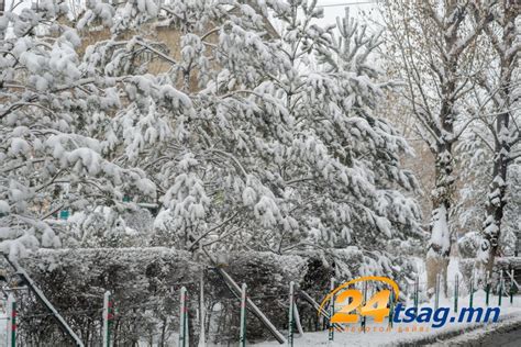 Зудын эрсдэлээс урьдчилан сэргийлэх арга хэмжээний төслийн уулзалт ...