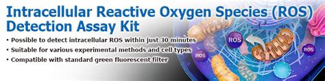 Intracellular Reactive Oxygen Species Ros Detection Assay Kit Tokyo