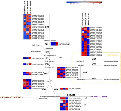 Phylogenetic Tree And Sequence Alignment A Phylogenetic Tree Of The