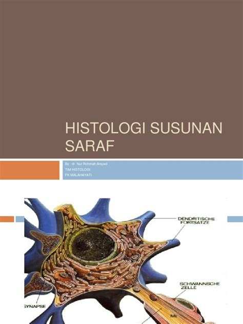 PDF HISTOLOGI SUSUNAN SARAF DOKUMEN TIPS