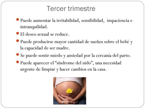 Cambios Emocionales En El Embarazo PPT