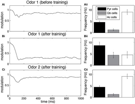 Frontiers Internal Cholinergic Regulation Of Learning And Recall In A