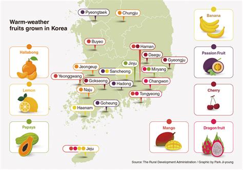 Swapping Apples For Mangoes Korea Eyes More Tropical Fruits