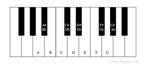 Singing Scales For Beginners Basic Theory And Warmups