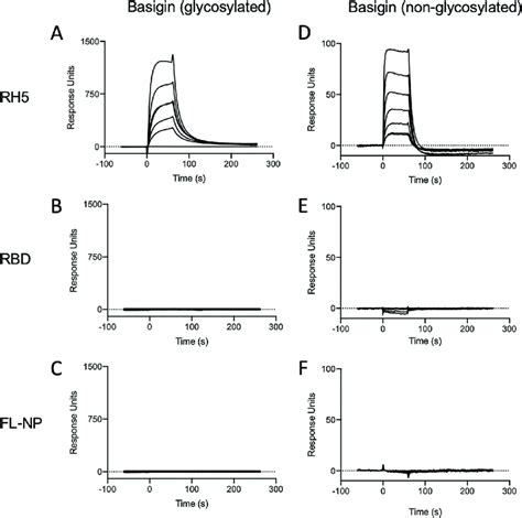 Spr Analysis Of Protein Binding Interactions Sensorgrams Show Binding