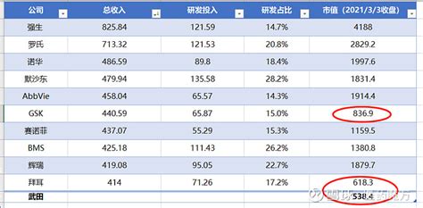 全球药企市值排名top10 按照3月3日的收盘价，市值排名依次是 ： 强生 、罗氏、诺华、abbvie、 辉瑞 、 礼来 、 默沙东 、bms