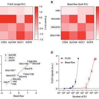 EV Protein Profiling With FLEX A B CCA EpCAM MUC1 And EGFR And EV