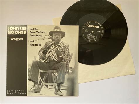 John Lee Hooker Lp Vinyl Blues Kaufen Auf Ricardo