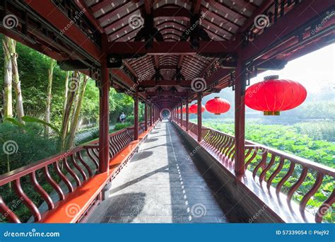 Chengdu - People Doing Sport - Culture Park Editorial Stock Image - Image of asia, park: 57339054