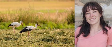 Naturbaserad klimatanpassning växer så kommer du igång Miljö