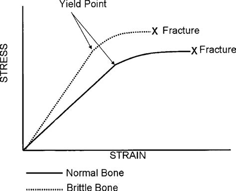 Stress Strain Graphs Showing The Difference Between A Stressstrain