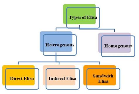 Elisa Principle And Types : The principle and method of ELISA | MBL ...