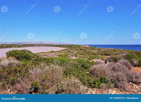 Vendicari Nature Reserve Siracusa Stock Photo Image Of Ocean Outdoor