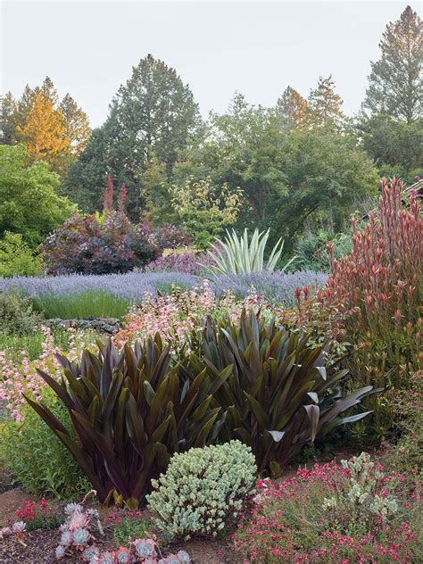 Three Dreamy California Gardens Flower Magazine California Native