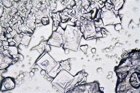 Free Stock Photo of Salt under the Microscope | Download Free Images and Free Illustrations