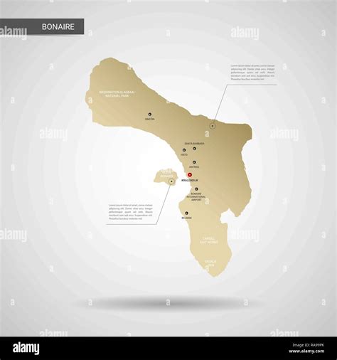 Vector Estilizados Bonaire Mapa Infograf A D Oro Ilustraci N Mapa Con