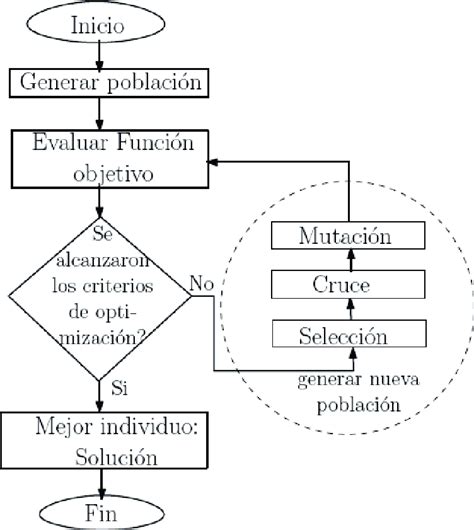 Pasos De Un Algoritmo Evolutivo Download Scientific Diagram