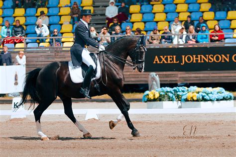 Horse Competition - Tumblr Gallery