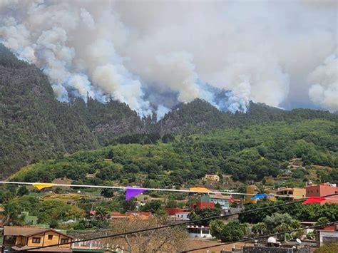 El Incendio De Tenerife Sigue Descontrolado Se Ha Reactivado En