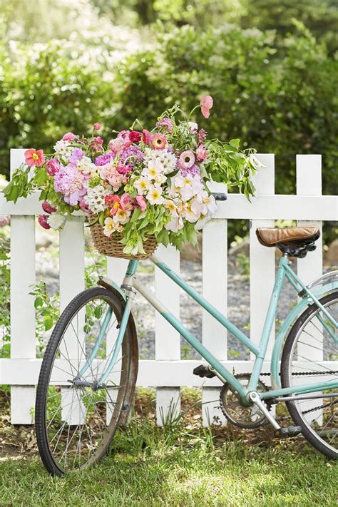 Would Like To Find A Vintage Bike And Do A Floral Arrangement For