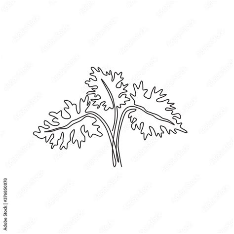 One Single Line Drawing Tropical Leaf Plant Printable Decorative