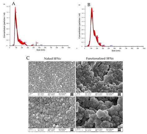 Particle Size Distribution For Naked A And Functionalized B SFNs