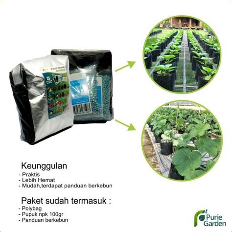 Jual STRSN PAKET BERKEBUN BIBIT BENIH BIJI TANAMAN SAYURAN 25 MACAM