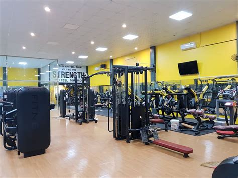 Tư Vấn Thiết Kế Phòng Gym đẹp Chuyên Nghiệp Dành Cho Chủ Phòng Gym Máy Tập Gym