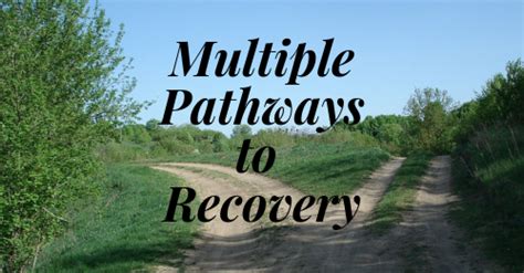 Multiple Pathways To Recovery 7 Summit Pathways