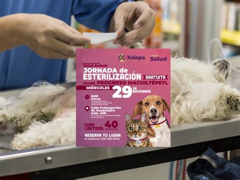 Jornada De Esterilizaci N Gratuita En Xalapa