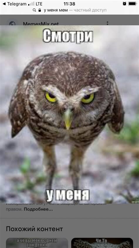 Create Meme Funny Owls Owls Owls Pictures Meme