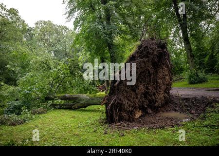 Bremen Deutschland 31 Juli 2023 Sturmschäden im Bremer Bürgerpark